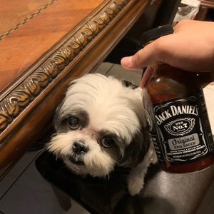 Meet your Posher, Isaac